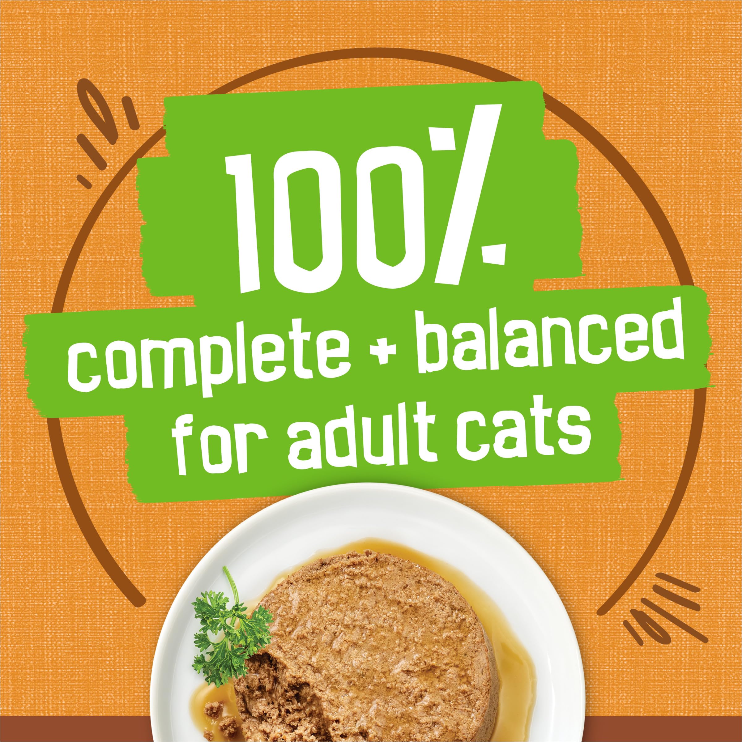 Friskies Gravy Pate – texture veloutée et nutrition équilibrée pour les repas quotidiens.
