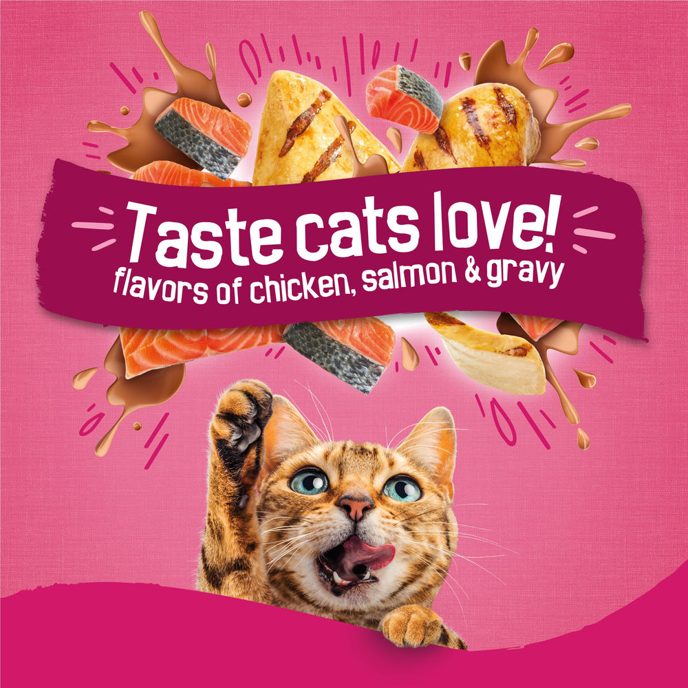 Friskies Gravy Swirlers, croquettes au goût savoureux qui attire votre chat.