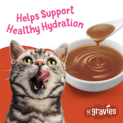 Friskies Lil' Gravies Saumon – sauce onctueuse pour agrémenter le repas.