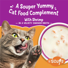 Bouillon velouté Friskies Lil’ Soups apporte humidité et arôme riches