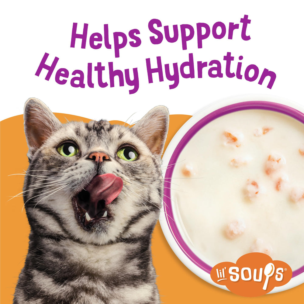 Ingrédients poulet et crevettes visibles dans Friskies Lil’ Soups