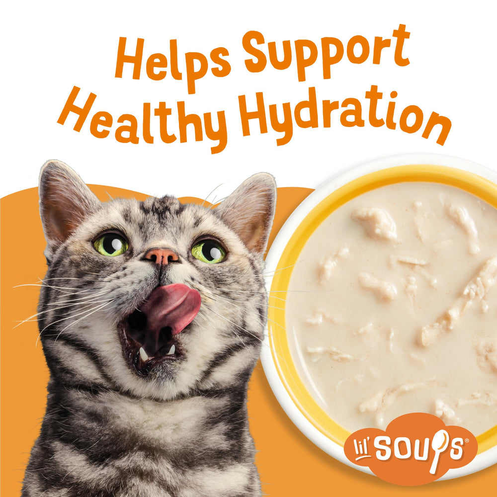 Friskies Lil' Soups: sans colorants, sans arômes ni conservateurs artificiels.