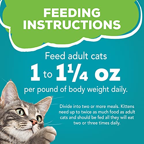 Lot de 24 boîtes Friskies – pratique pour les repas quotidiens