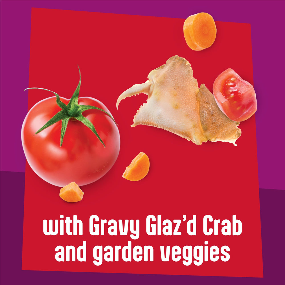 Morceaux généreux enrobés de gravy Friskies sur une assiette.