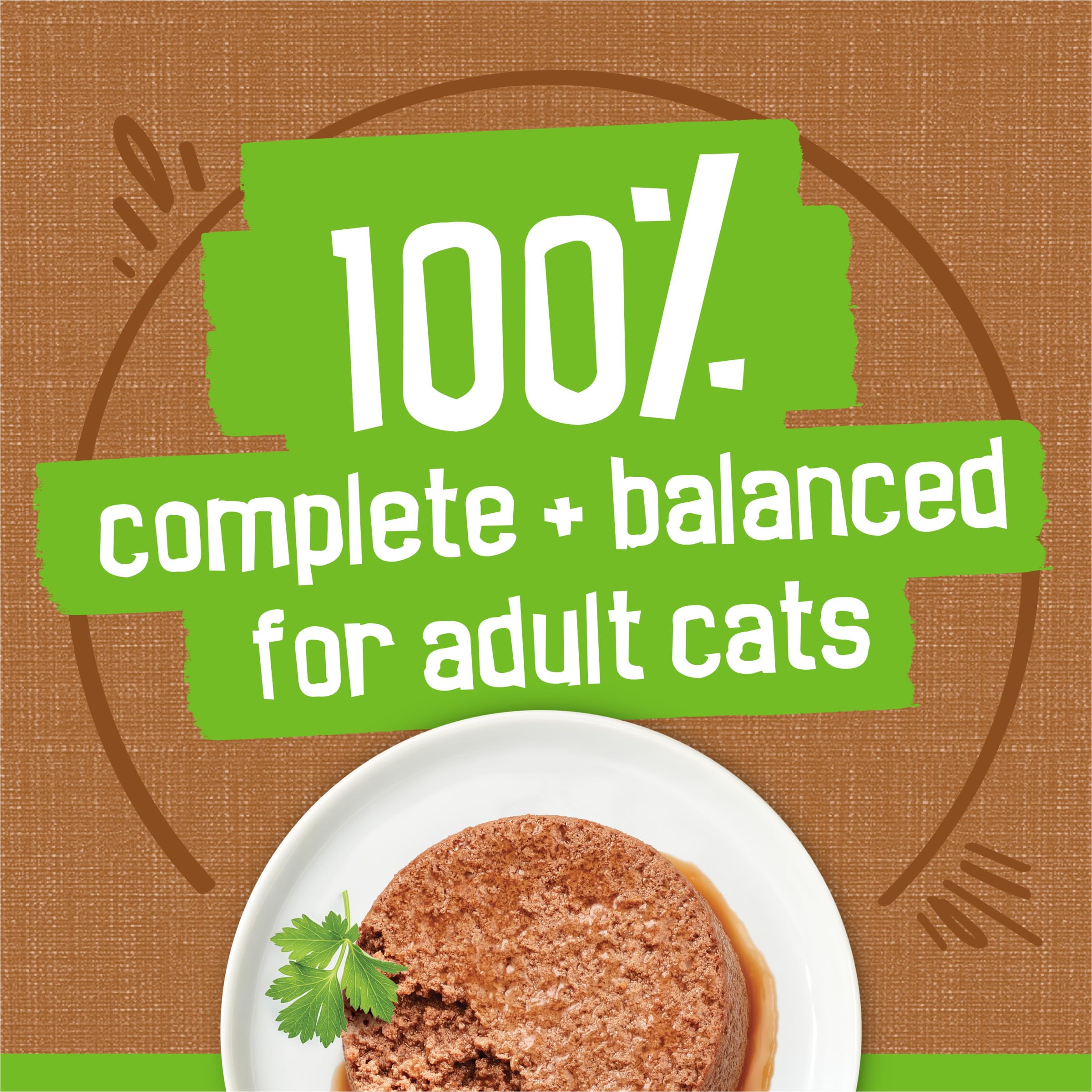 Friskies lot de 24 boîtes, pratique pour les repas quotidiens.