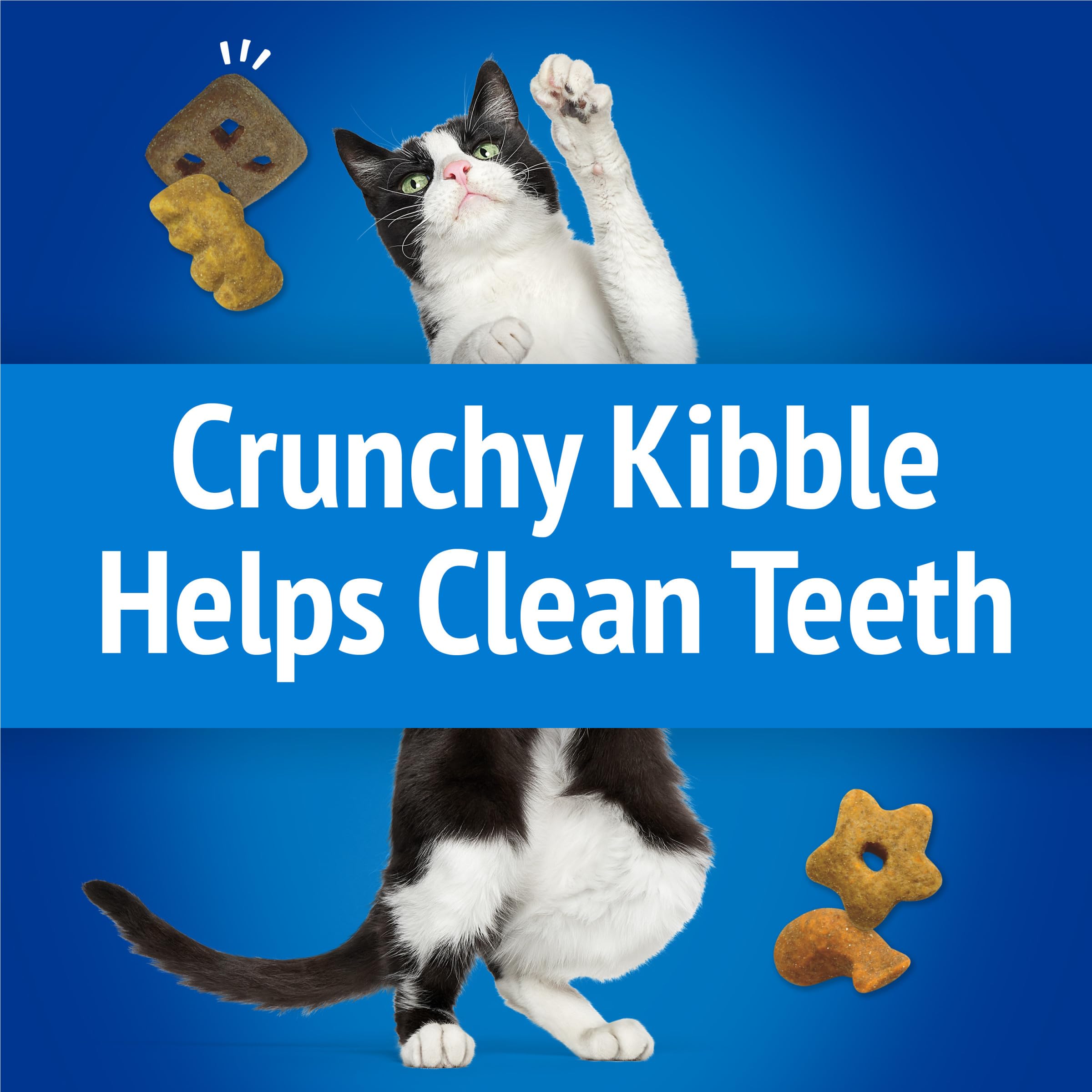 Formes ludiques Friskies Beachside Crunch qui captent l’attention du chat.