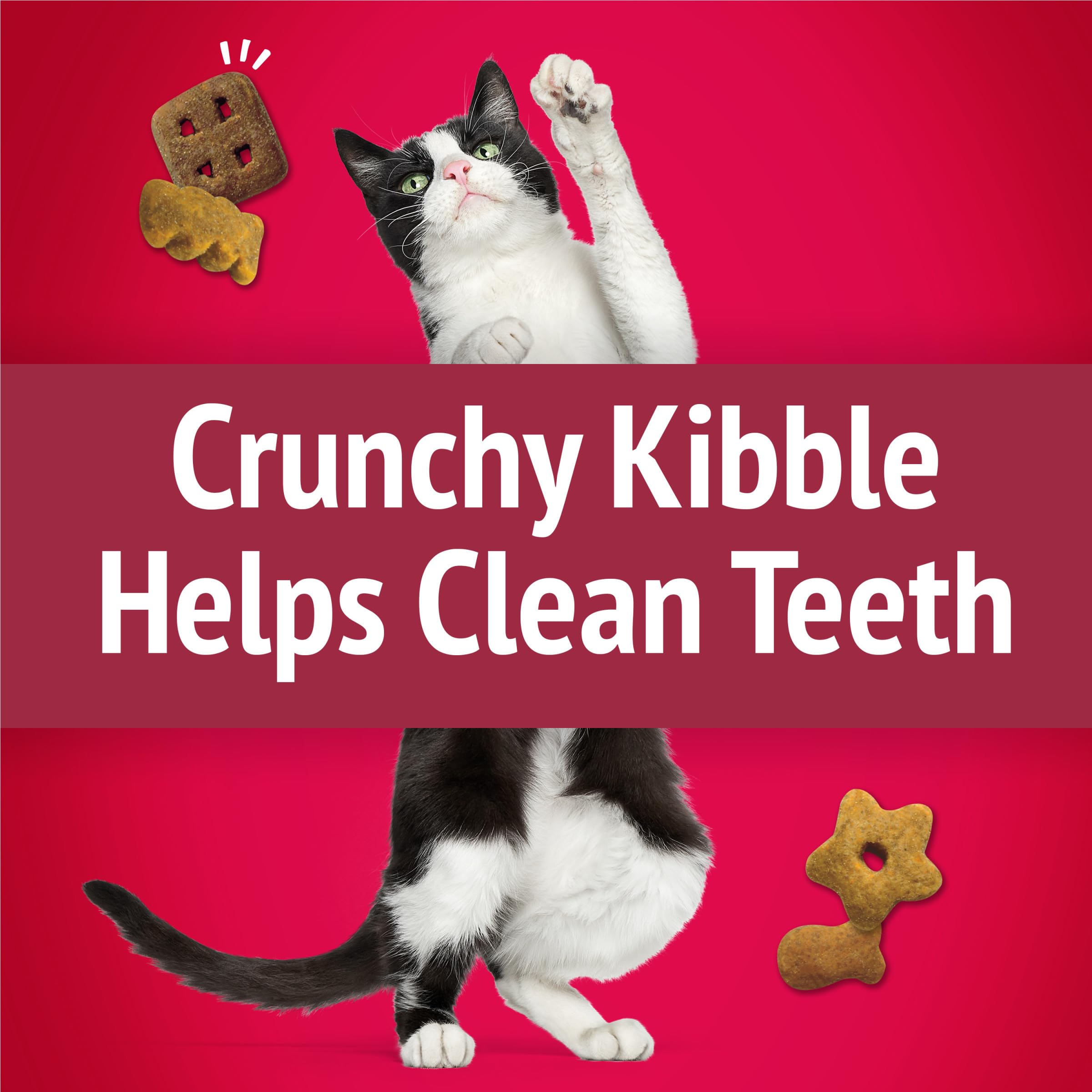 Friskies Party Mix croquant, aide potentielle au nettoyage des dents.
