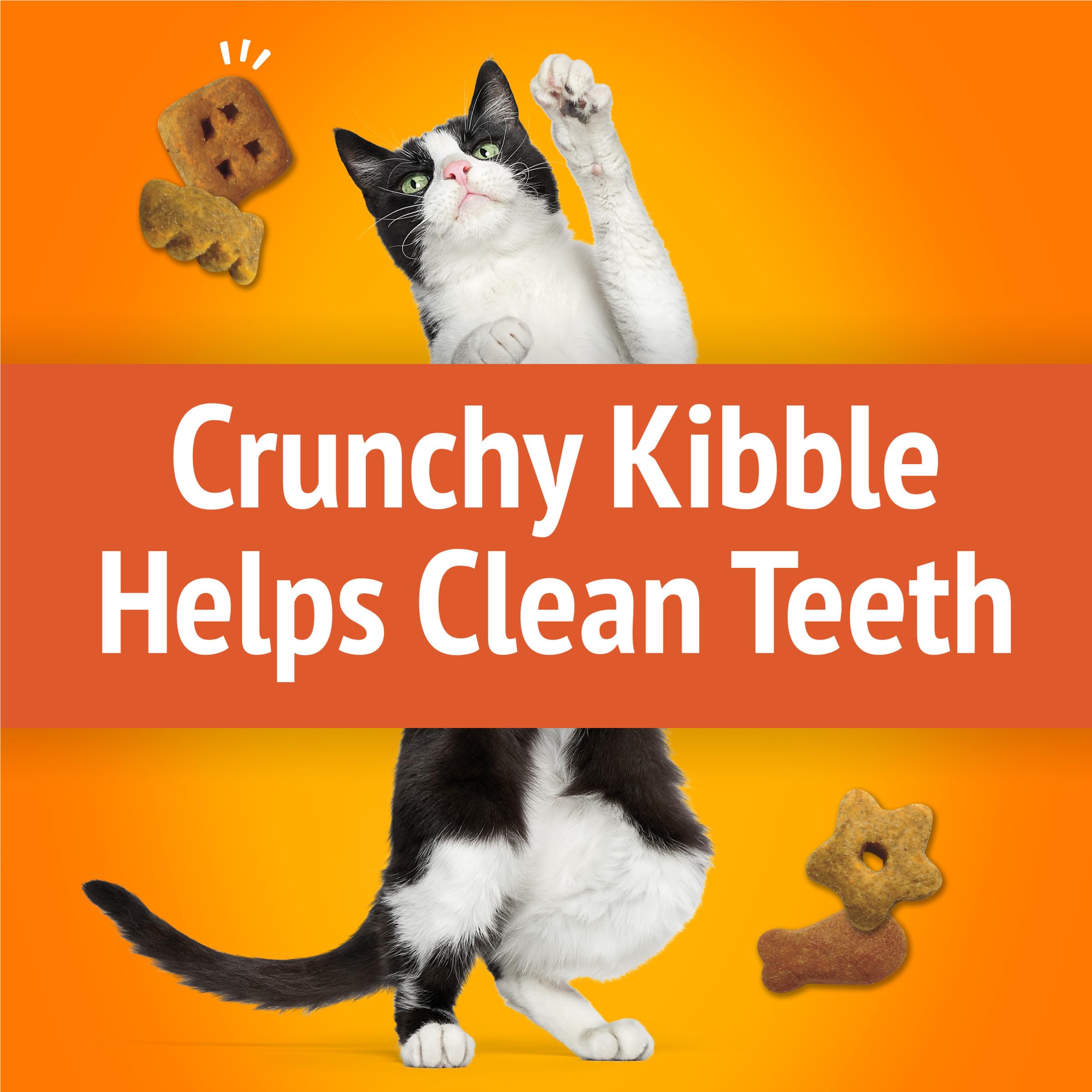 Formes ludiques qui ajoutent du jeu lors de l’heure du snack