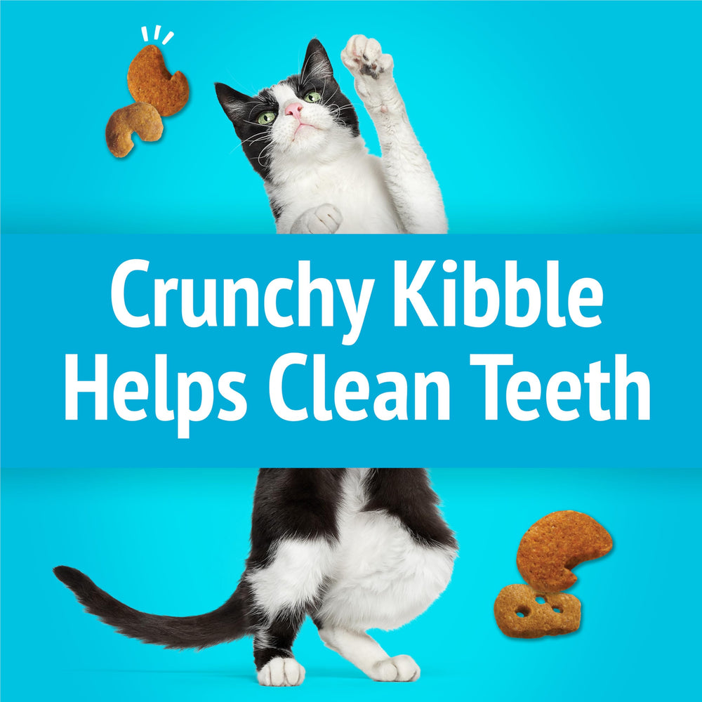 Friskies Party Mix snacks-quotidien: portion pratique pour le quotidien.