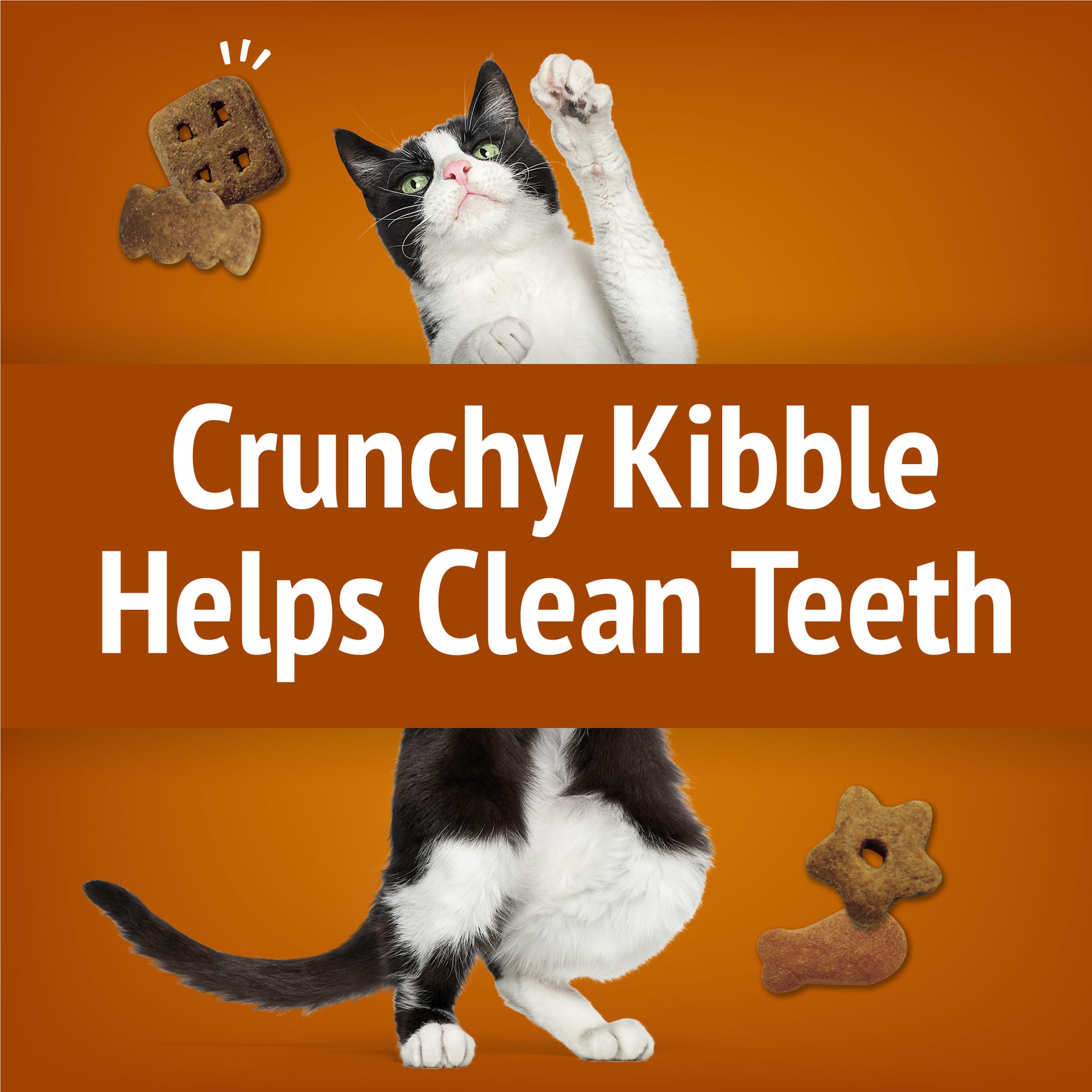 Friskies Party Mix: texture croquante aidant au nettoyage des dents lors de la mastication.