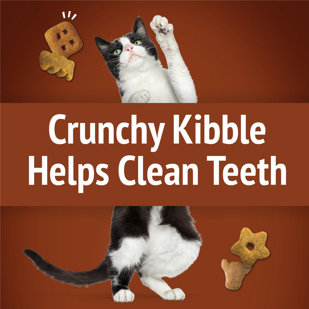 Friskies Purina Party Mix Wild West Crunch — bouchées de petite taille adaptées à la bouche.