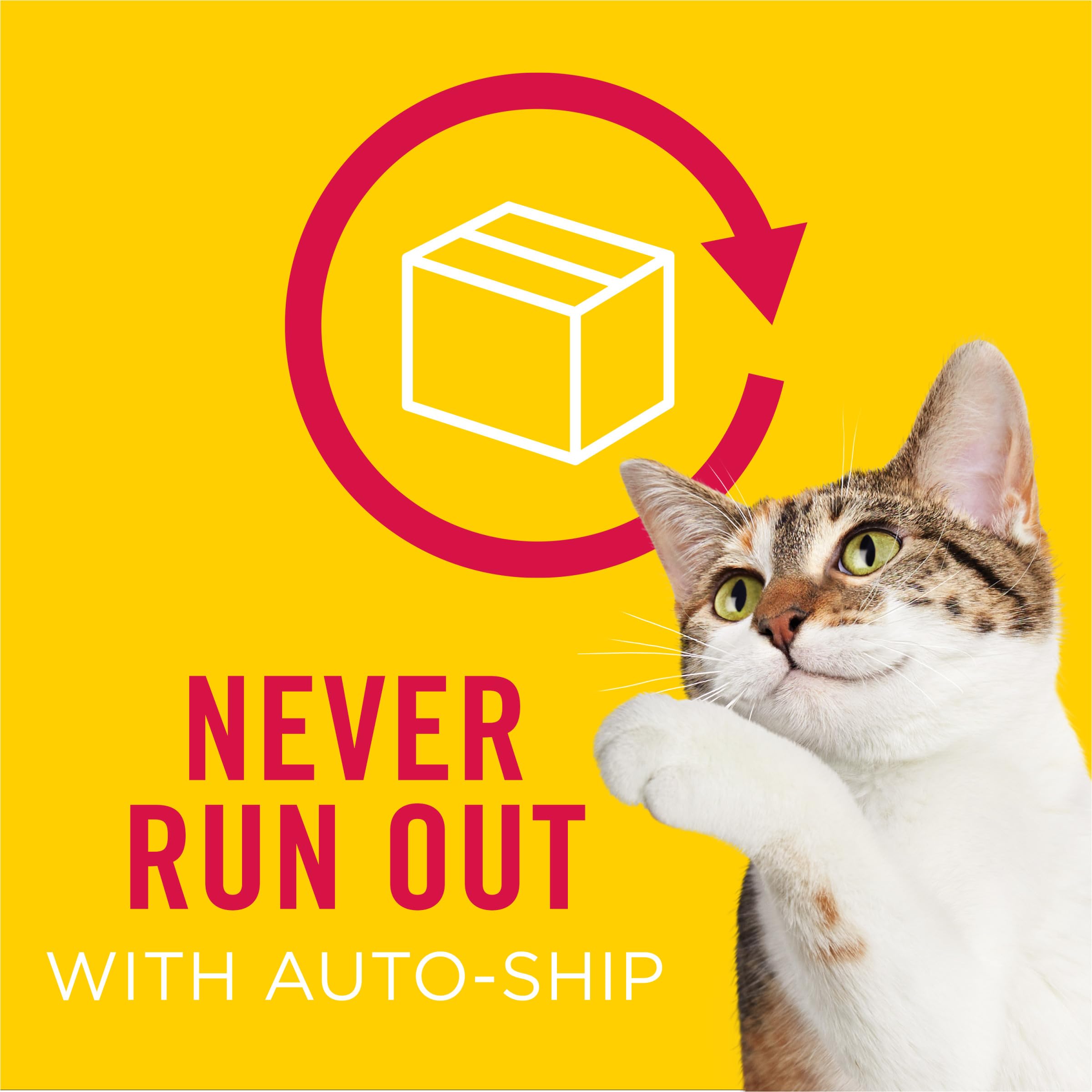 Friskies Mariner’s Catch, plat complet pour chats adultes et chatons.
