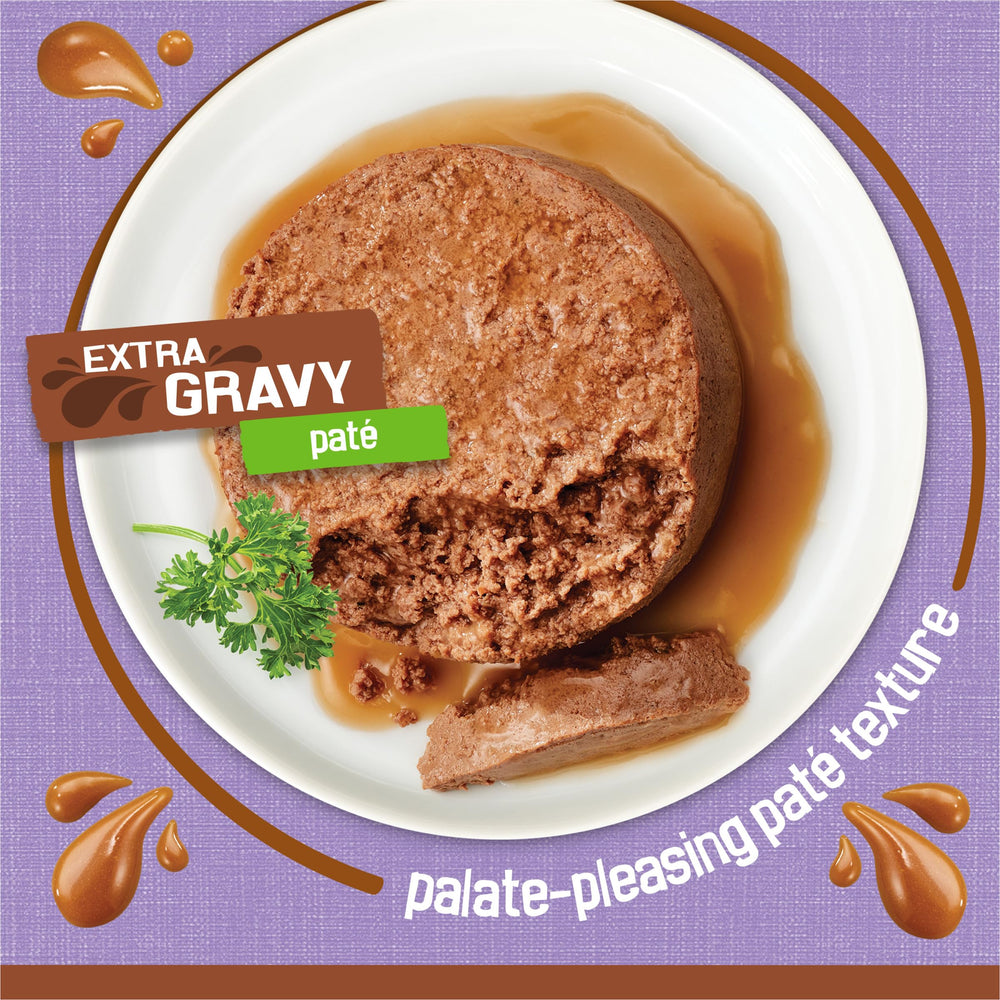 Purina Friskies Pâté dinde, sauce au jus, expérience sensorielle conviviale pour les repas.