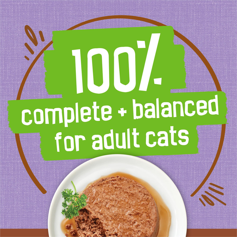 Purina Friskies Pâté dinde et sauce au jus, boîtes faciles à ouvrir pour simplifier le quotidien.