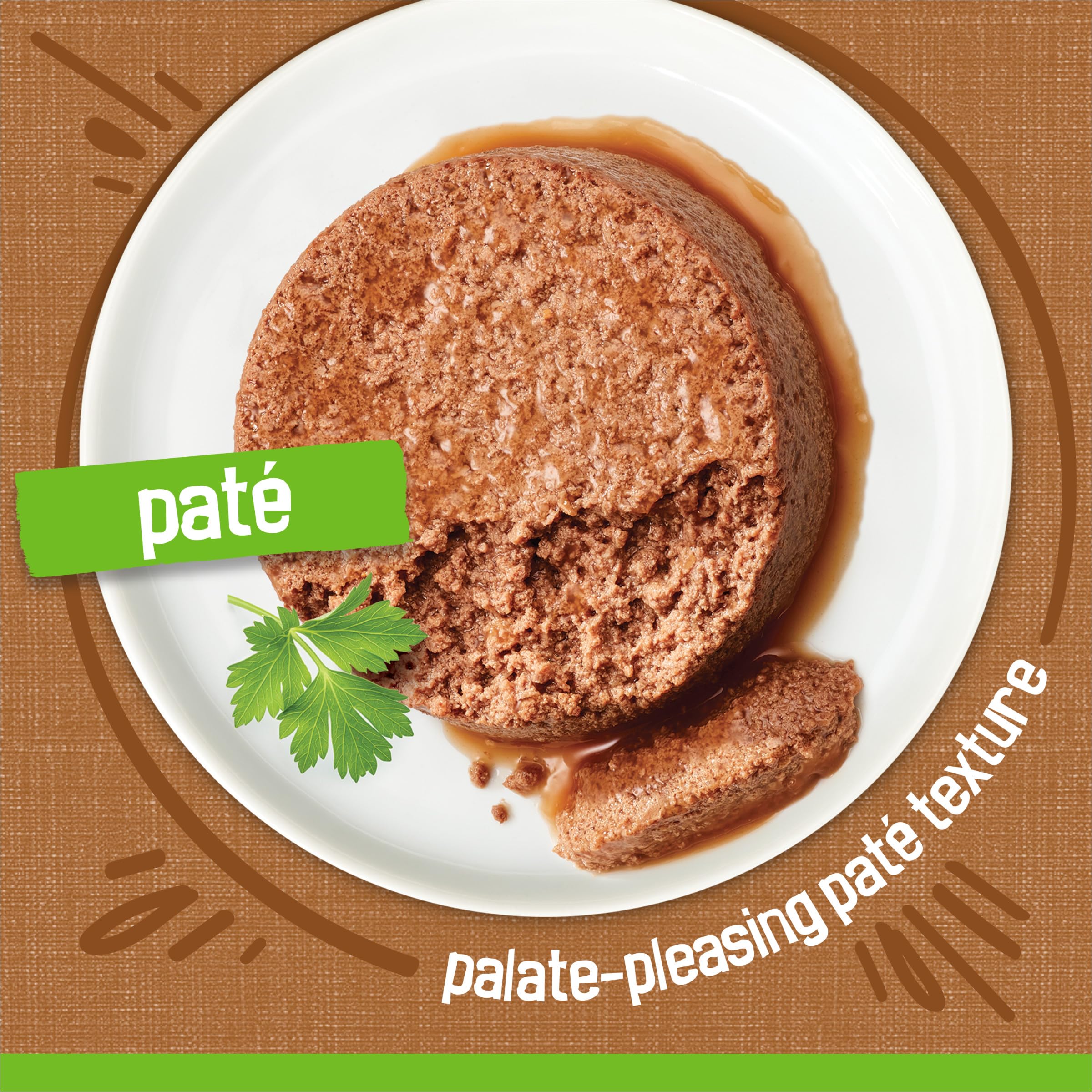 Purina Friskies, assiette chat avec pâté lisse et appétissant.