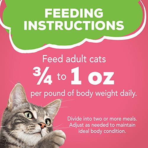 Consistance humide de Friskies Pâté Saumon facilitant la dégustation.