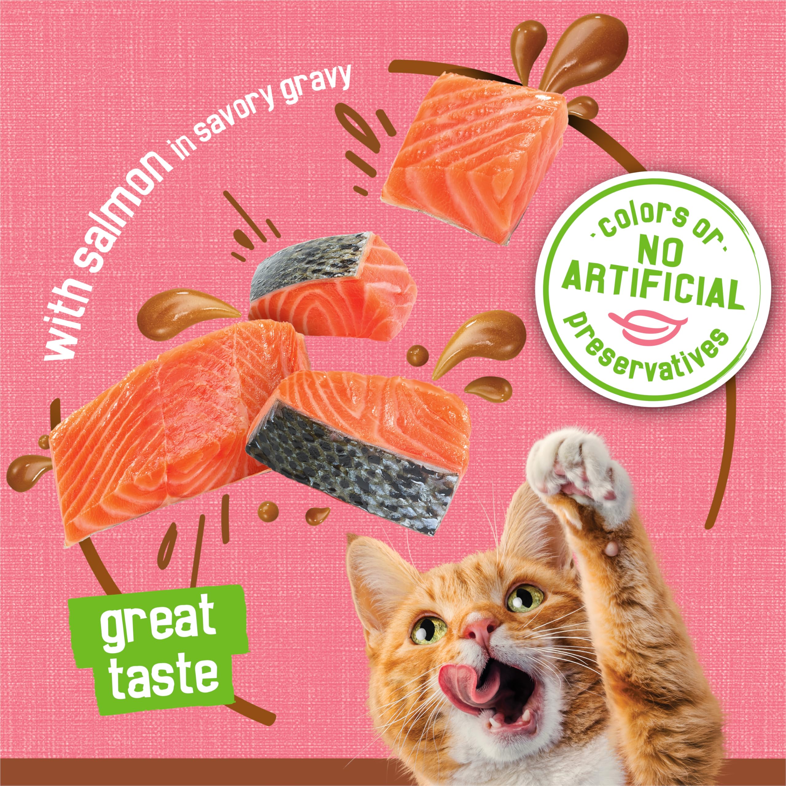 Friskies saumon pâté et nutrition équilibrée: complément savoureux pour l'énergie animale.