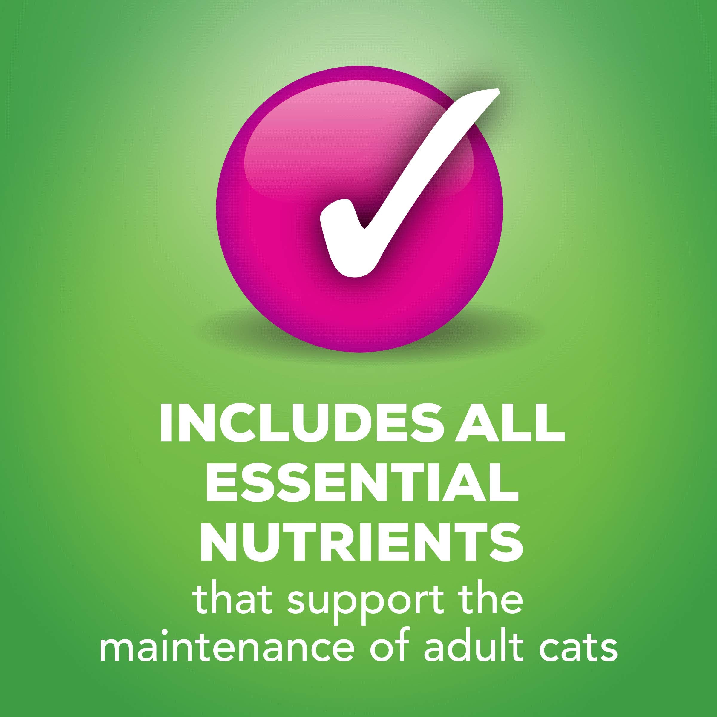 Friskies Pâté Saumon Varieté Boîtes : plaisir gustatif et diversité.