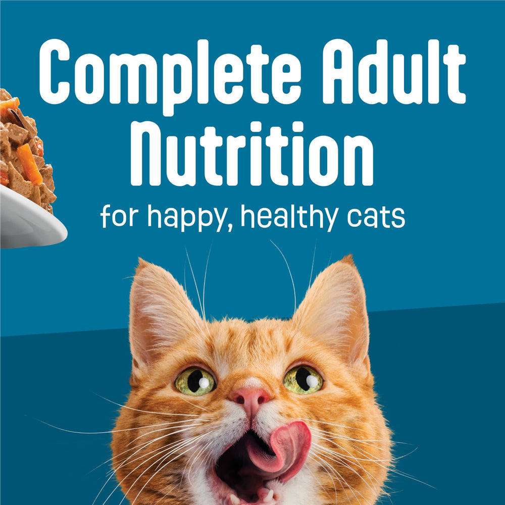 Arômes riches qui éveillent l’appétit dans Friskies Plein Charge