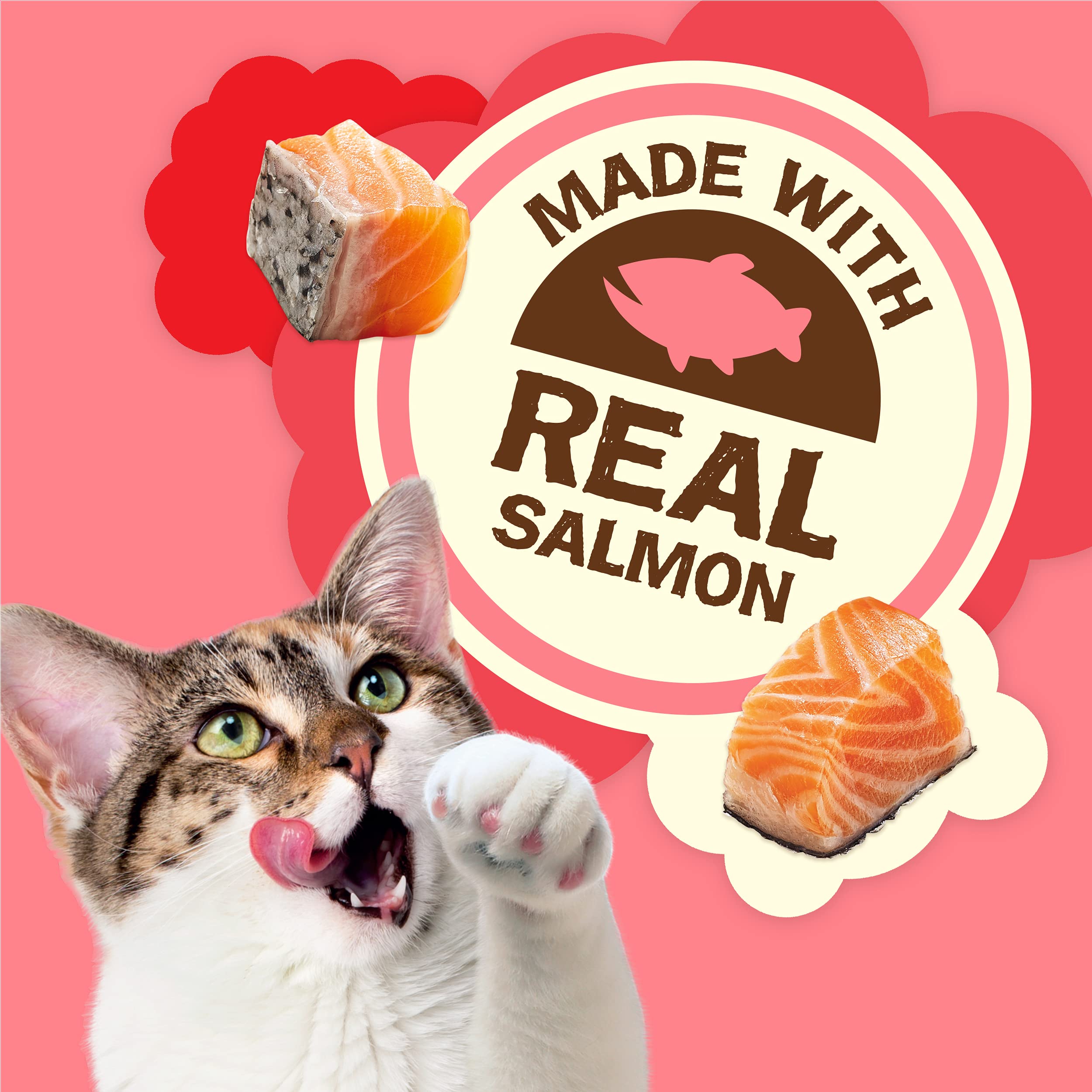 Étiquette Friskies affirmant le saumon comme ingrédient vedette et nutriments ajoutés.