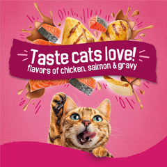 Friskies protéines et nutriments essentiels pour soutenir l'énergie au quotidien.