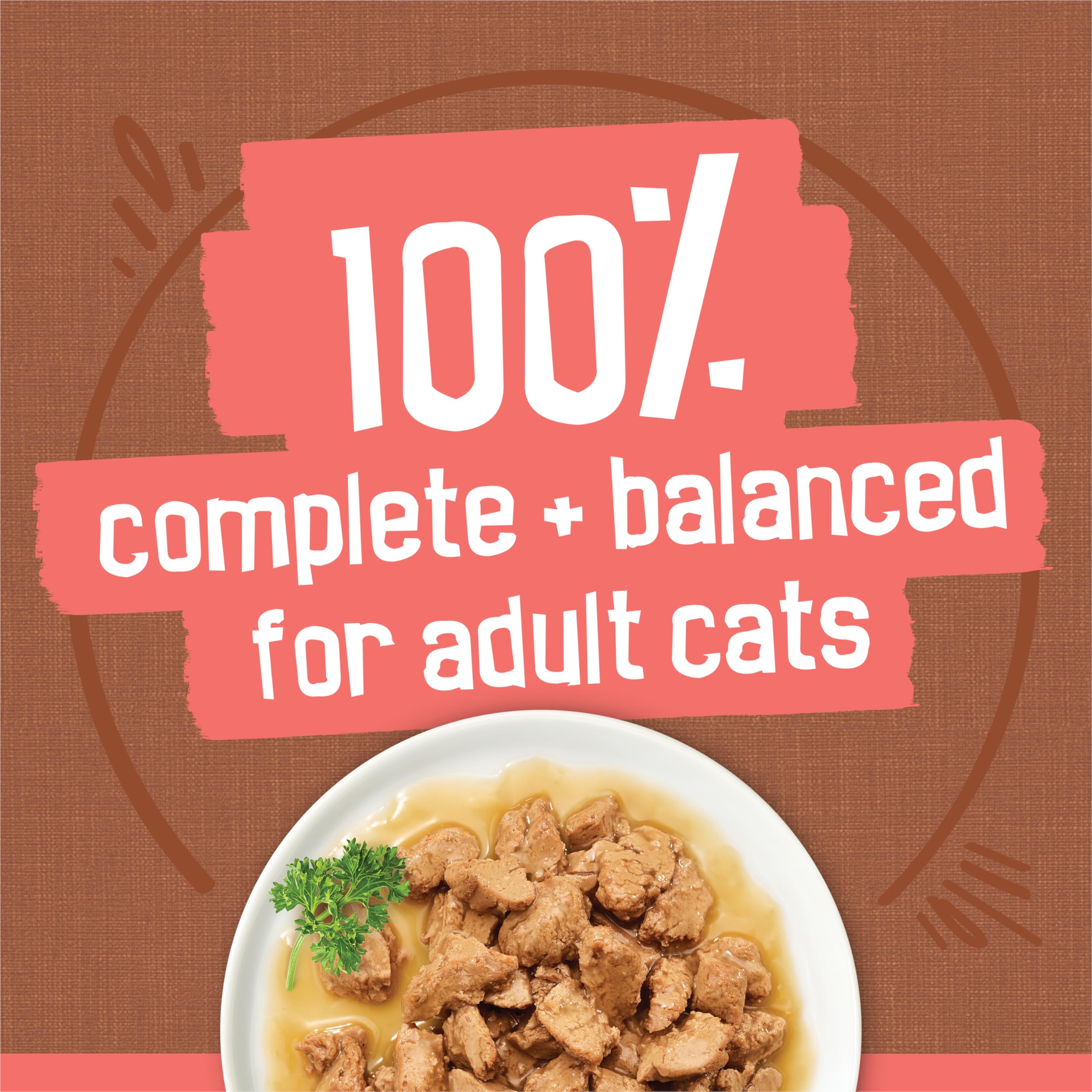 Friskies: sauce aromatee pour chat, rehausseur de saveur.