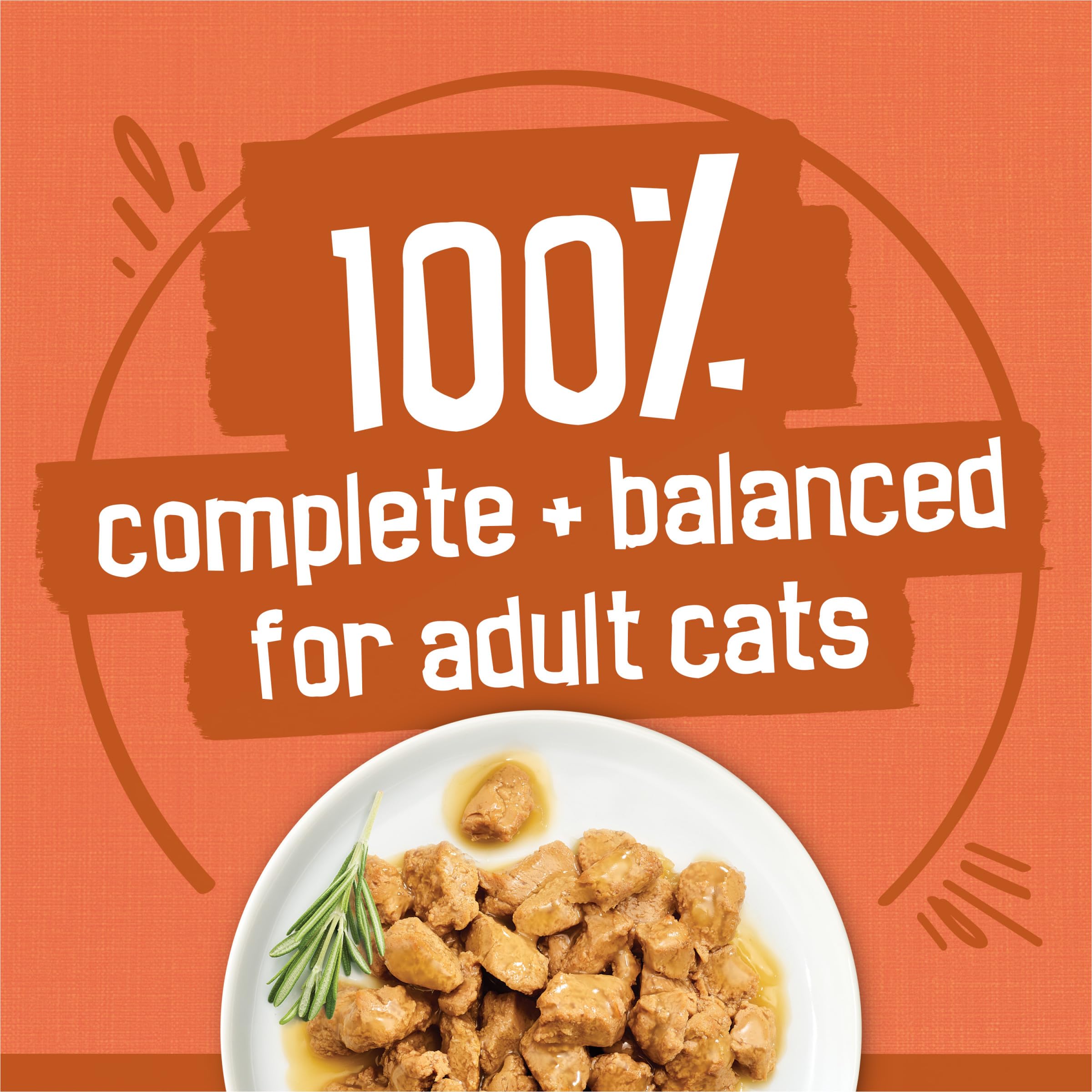 Purina Friskies TurChicken : filets-dinde-dans-sauce, arômes appétissants pour repas quotidiens.