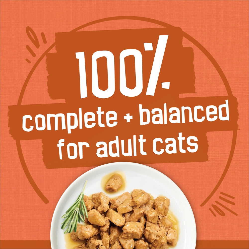 Purina Friskies TurChicken : filets-dinde-dans-sauce, arômes appétissants pour repas quotidiens.