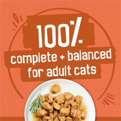 Purina Friskies TurChicken : filets-dinde-dans-sauce, arômes appétissants pour repas quotidiens.