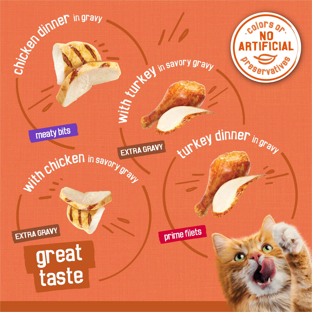Purina Friskies TurChicken : filets-poulet-dans-sauce, nutrition complète pour chat adulte.