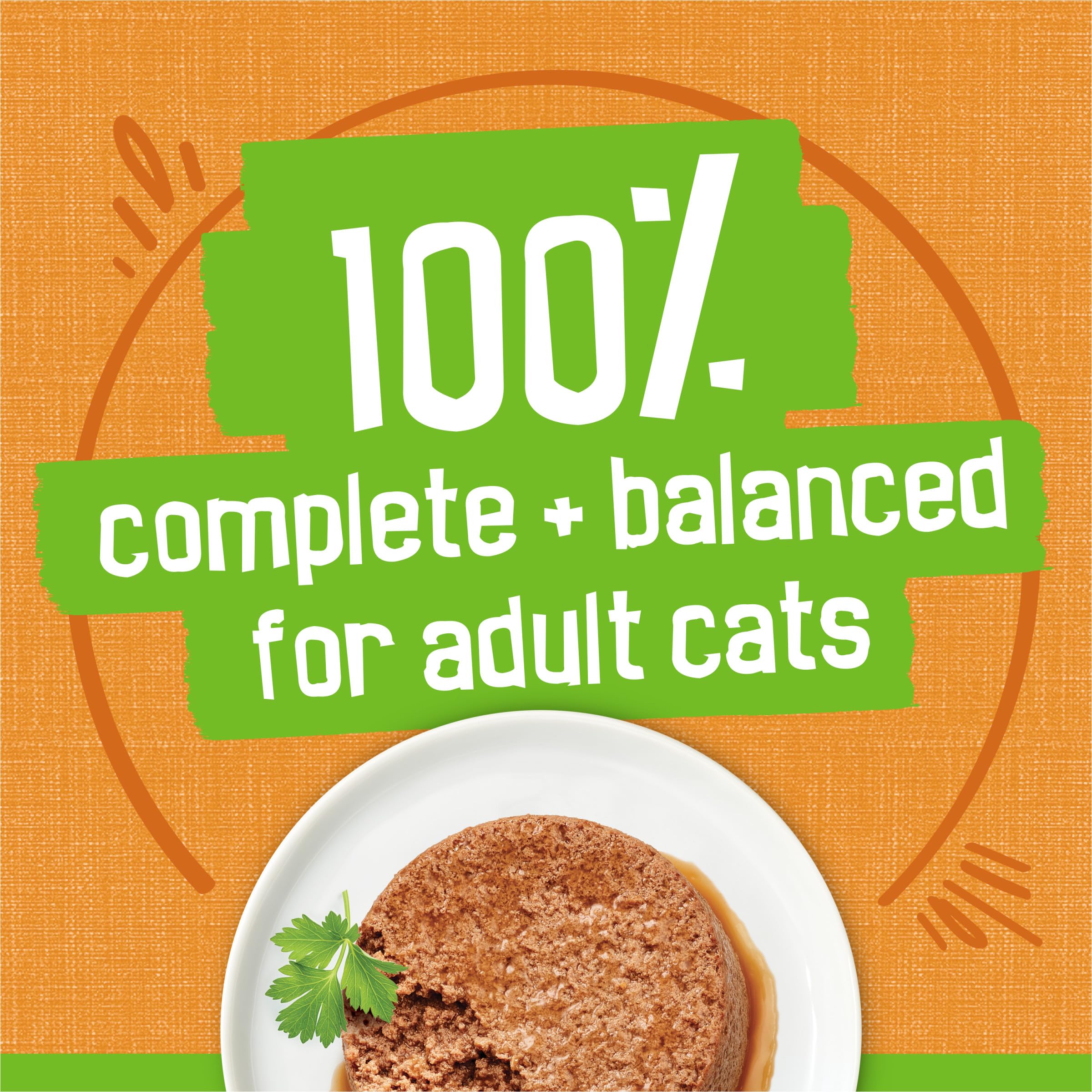 Friskies Usine – contrôle qualité et sécurité