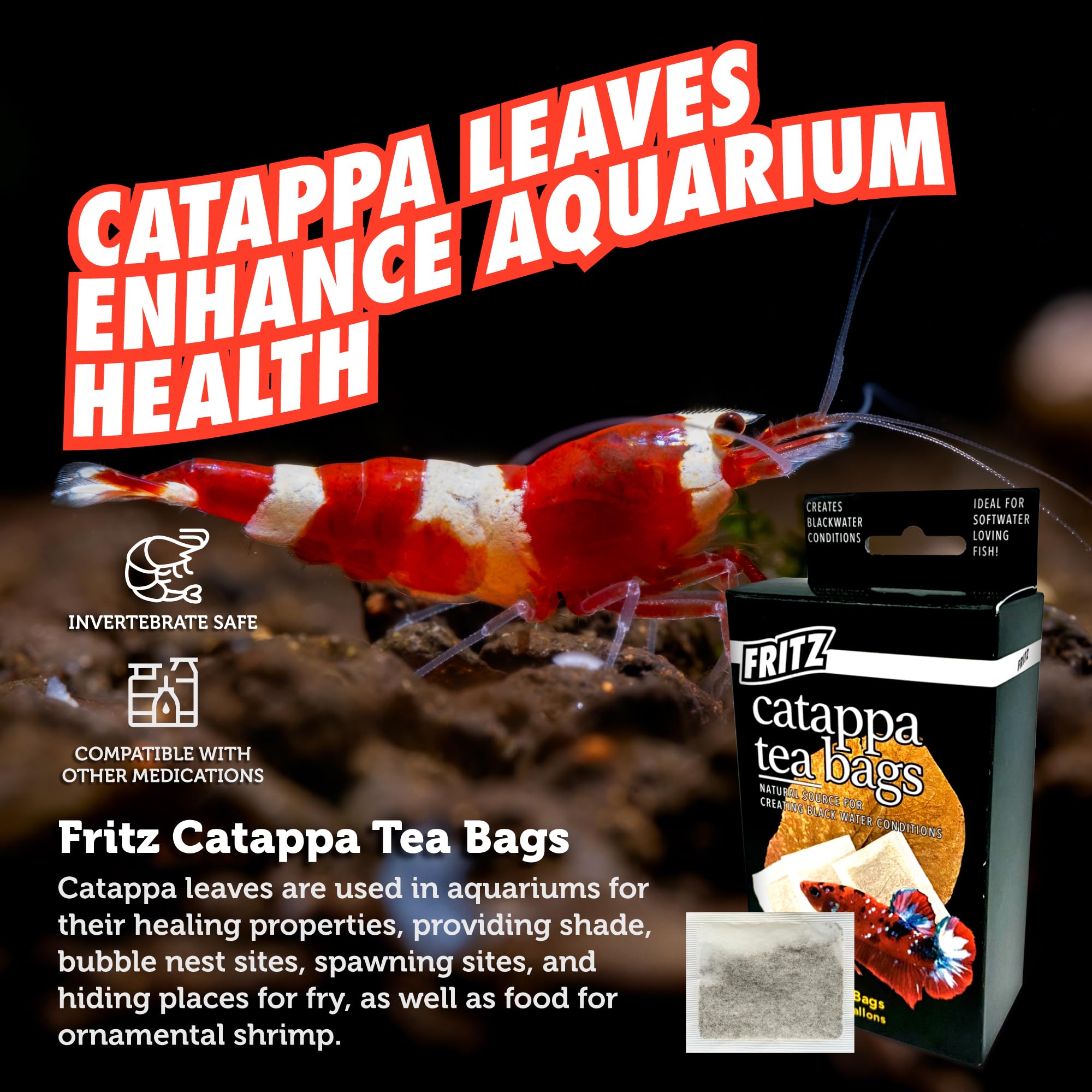 Fritz Aquatics Betta Botanicals : insertion facile dans petit filtre sans désordre.
