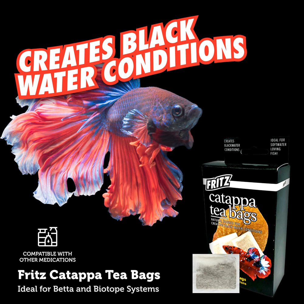 Fritz Aquatics Betta Botanicals : betta coloré nage près des feuilles Catappa.