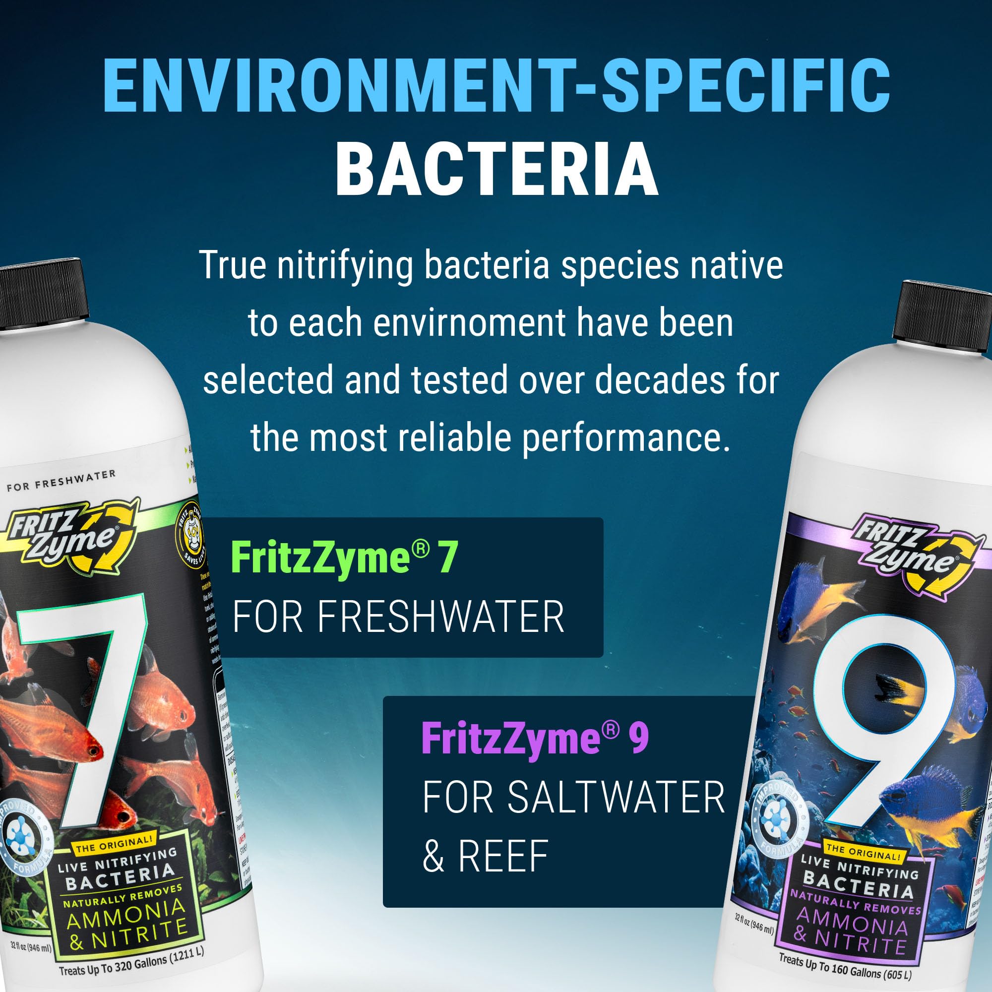 Stabilité de l’eau grâce à FritzZyme 7 et au biofiltre