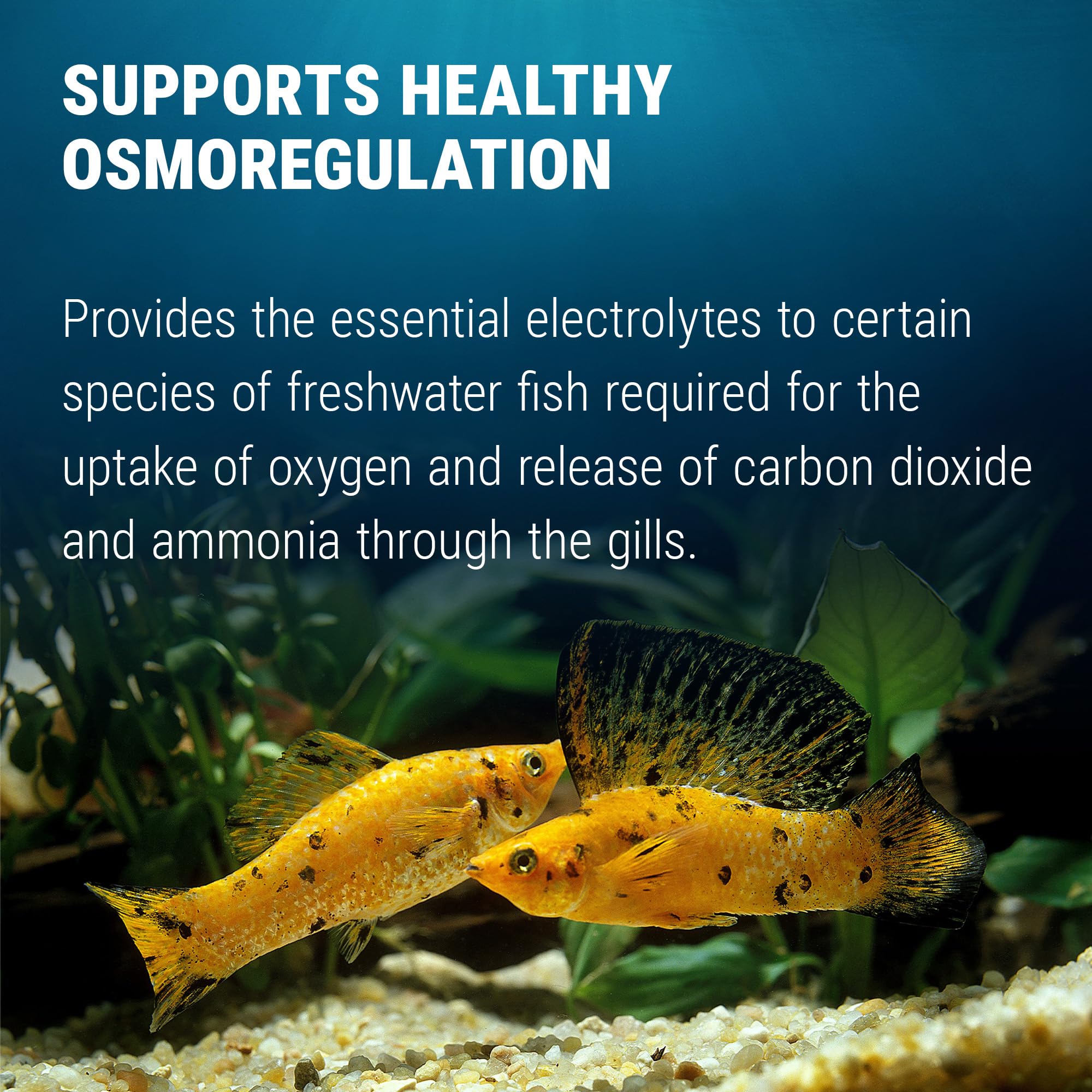 Fritz Aquatics osmorégulation: aide à équilibrer les électrolytes des poissons.