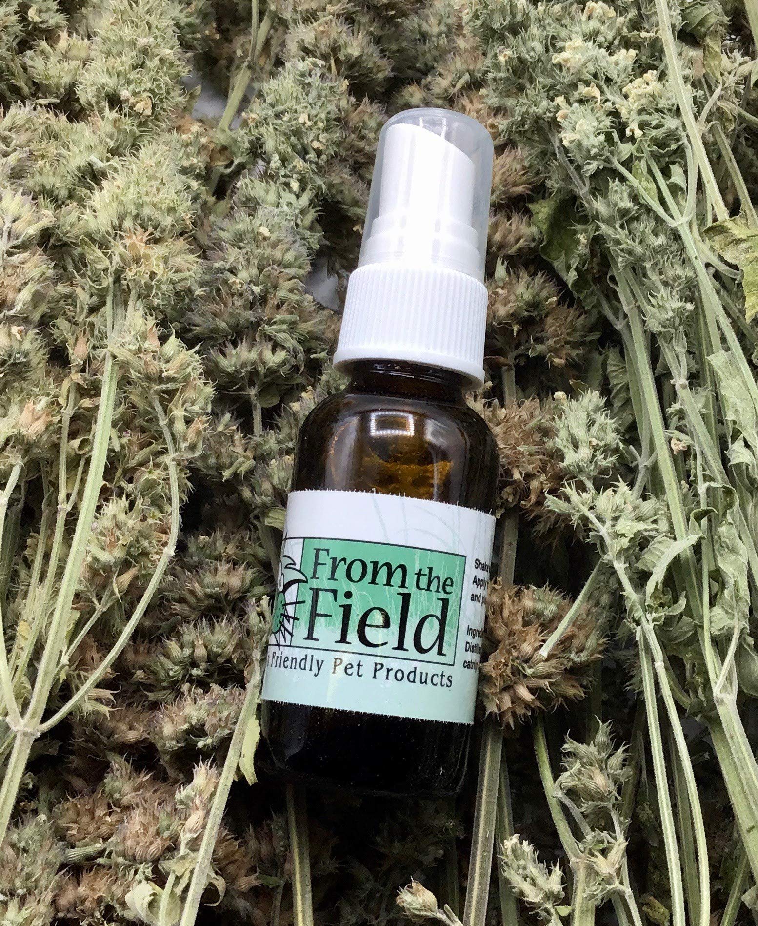 From The Field Catnip Spray Rejuvenator — Utilisation sur jouets et griffoirs pour attirer le chat.