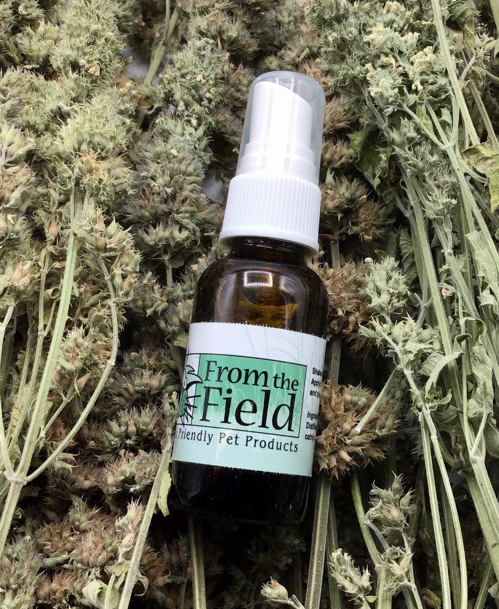 From The Field Catnip Spray Rejuvenator — Utilisation sur jouets et griffoirs pour attirer le chat.