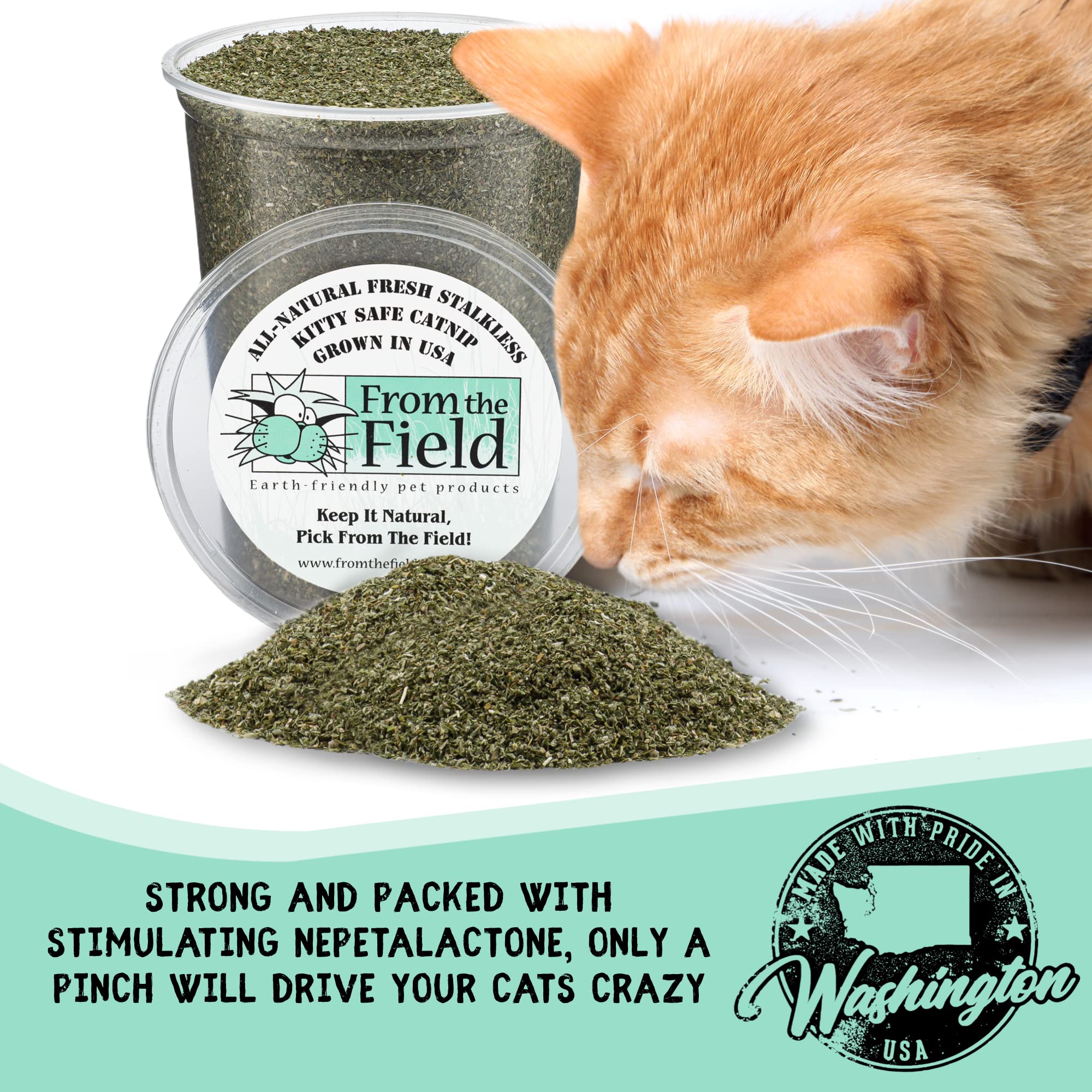 From The Field Catnip – produit originaire des États‑Unis, écoresponsable pour chats.