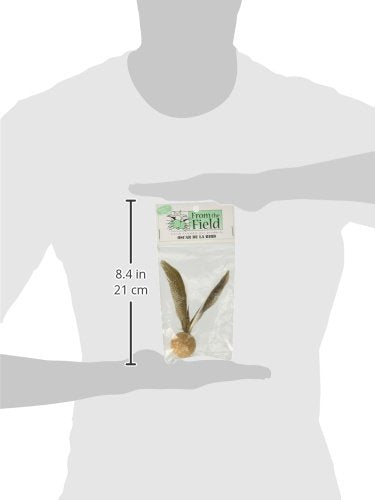 Oscar De La Bird, plumes sans colorant, toucher sûr et doux pour chat
