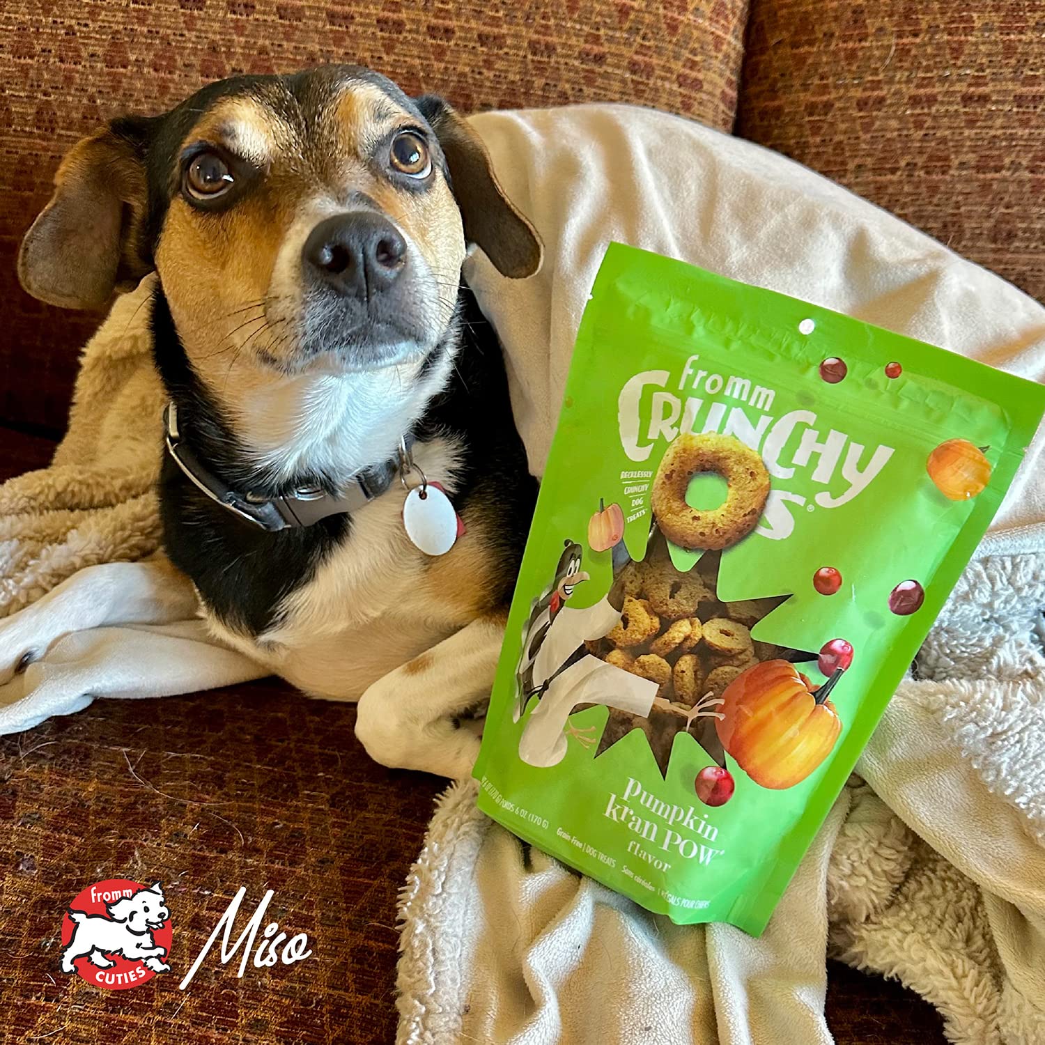 Fromm Crunchy Os ingredients naturels dinde potiron – option gourmande et équilibrée.