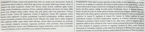 Fromm Four-Star Chicken à La Veg – chat dégustant un repas équilibré et savoureux.