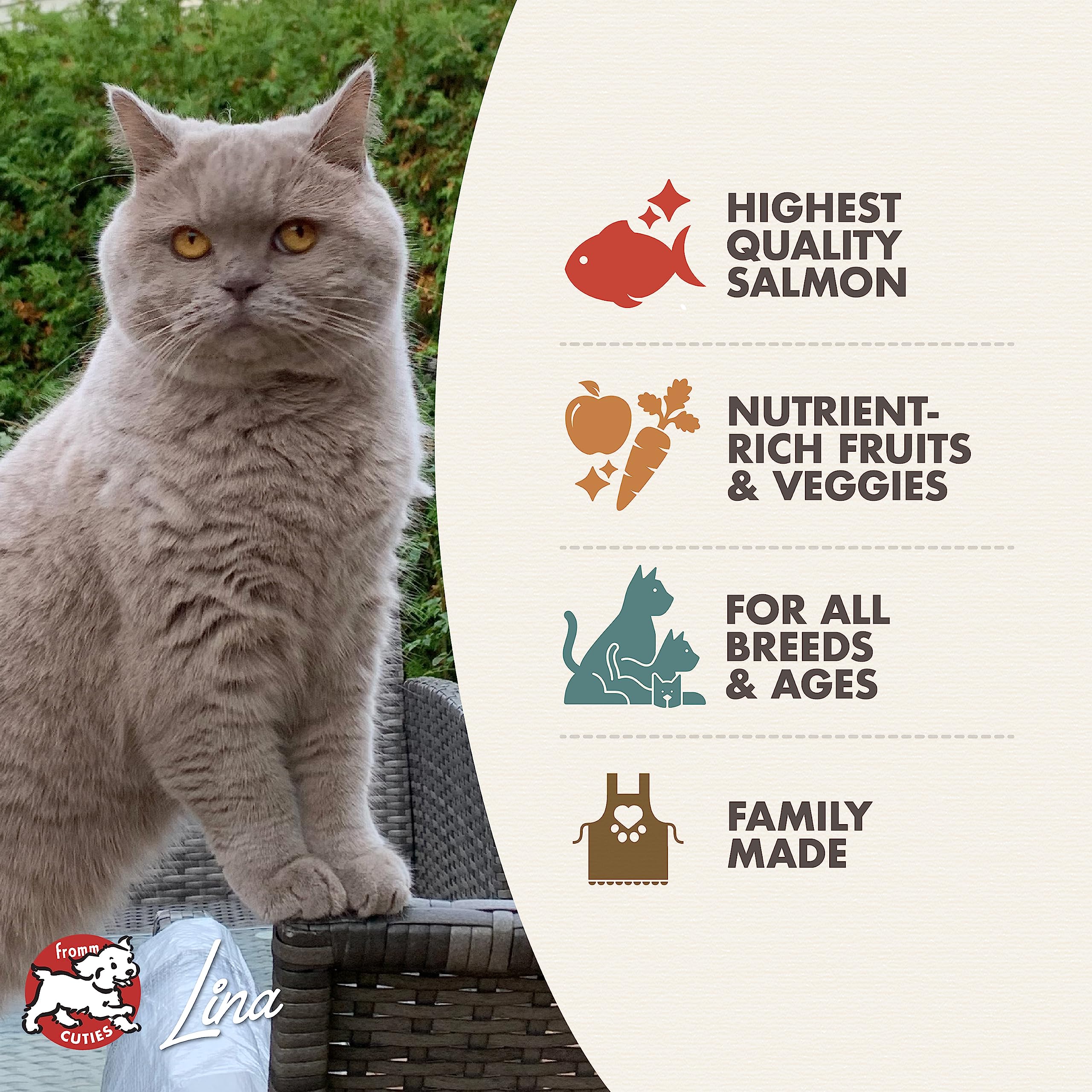 Fromm Four-Star bol chat avec croquettes saumon tunachovy, repas pratique.