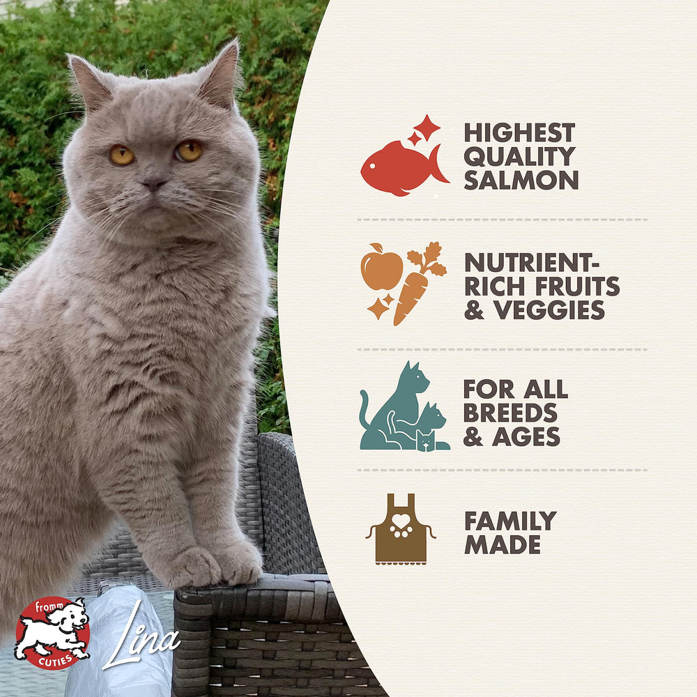 Fromm Four-Star bol chat avec croquettes saumon tunachovy, repas pratique.