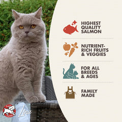 Fromm Four-Star bol chat avec croquettes saumon tunachovy, repas pratique.