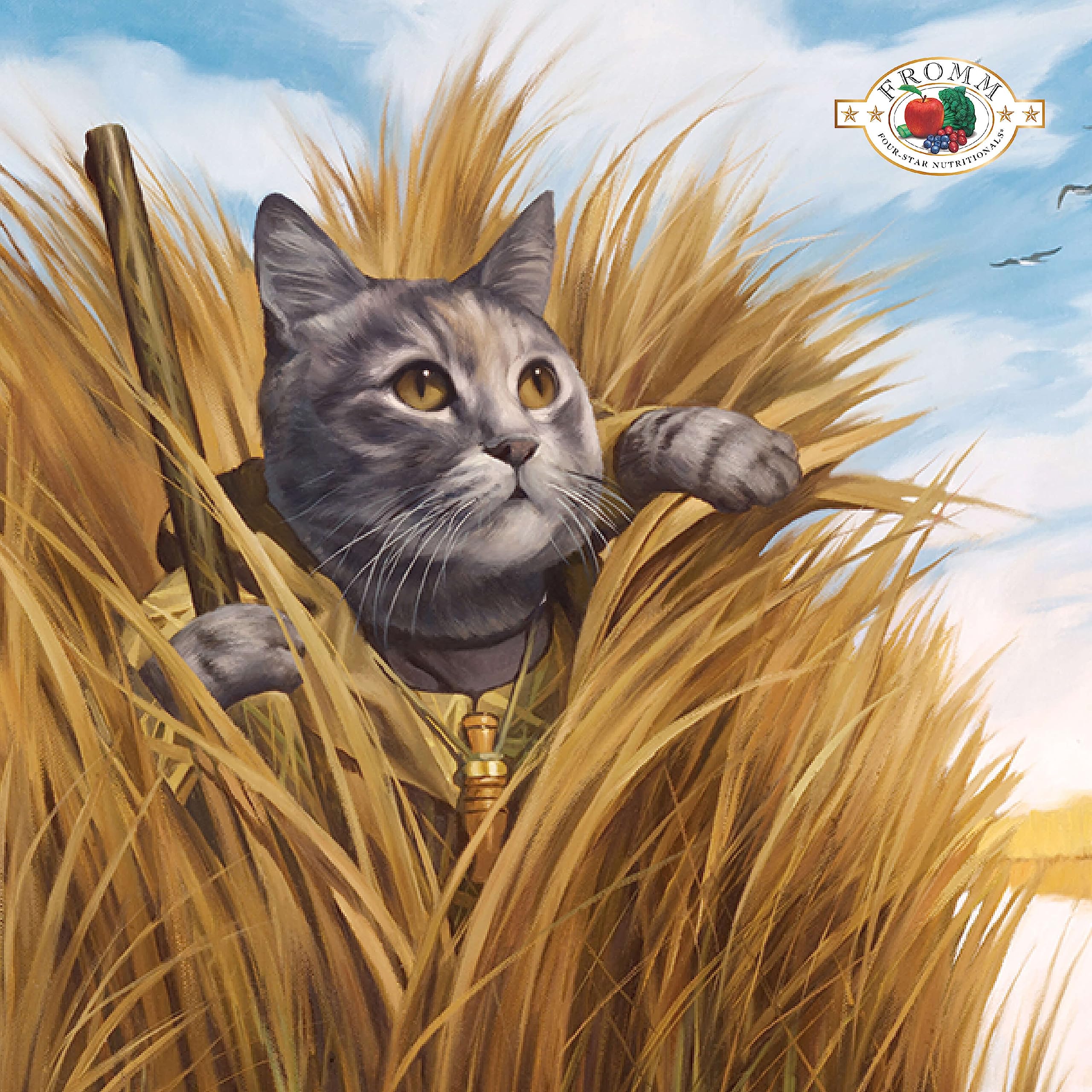 Fromm Four-Star Nutritionals, bol dinde et gibier, repas équilibré pour chats.