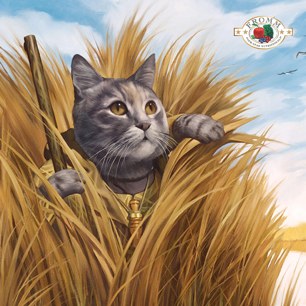 Fromm Four-Star Nutritionals, bol dinde et gibier, repas équilibré pour chats.