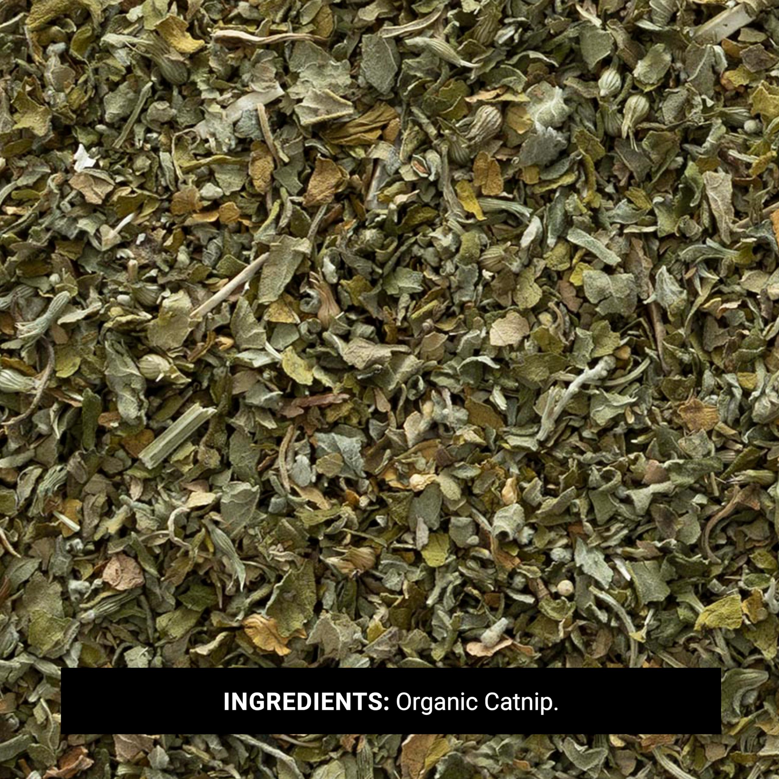Feuilles d’arôme d’herbe à chat Frontier Co-op fraîche et parfumée