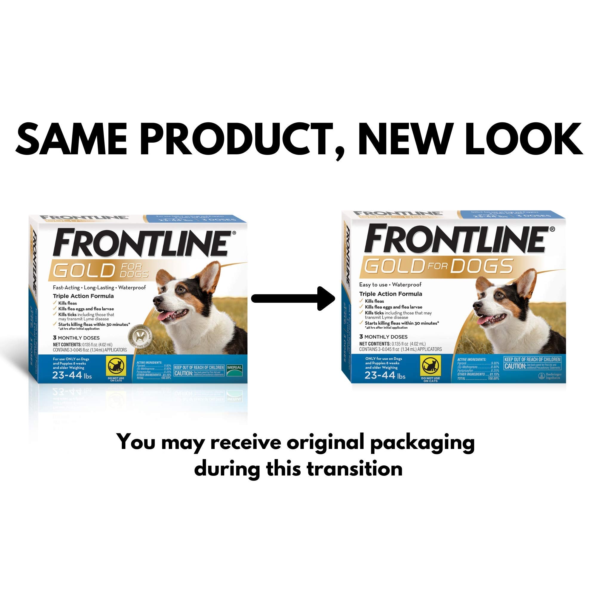 Frontline Gold – protection de 30 jours, couverture mensuelle.
