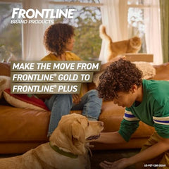 FRONTLINE Gold – action triple contre puces, œufs et tiques.