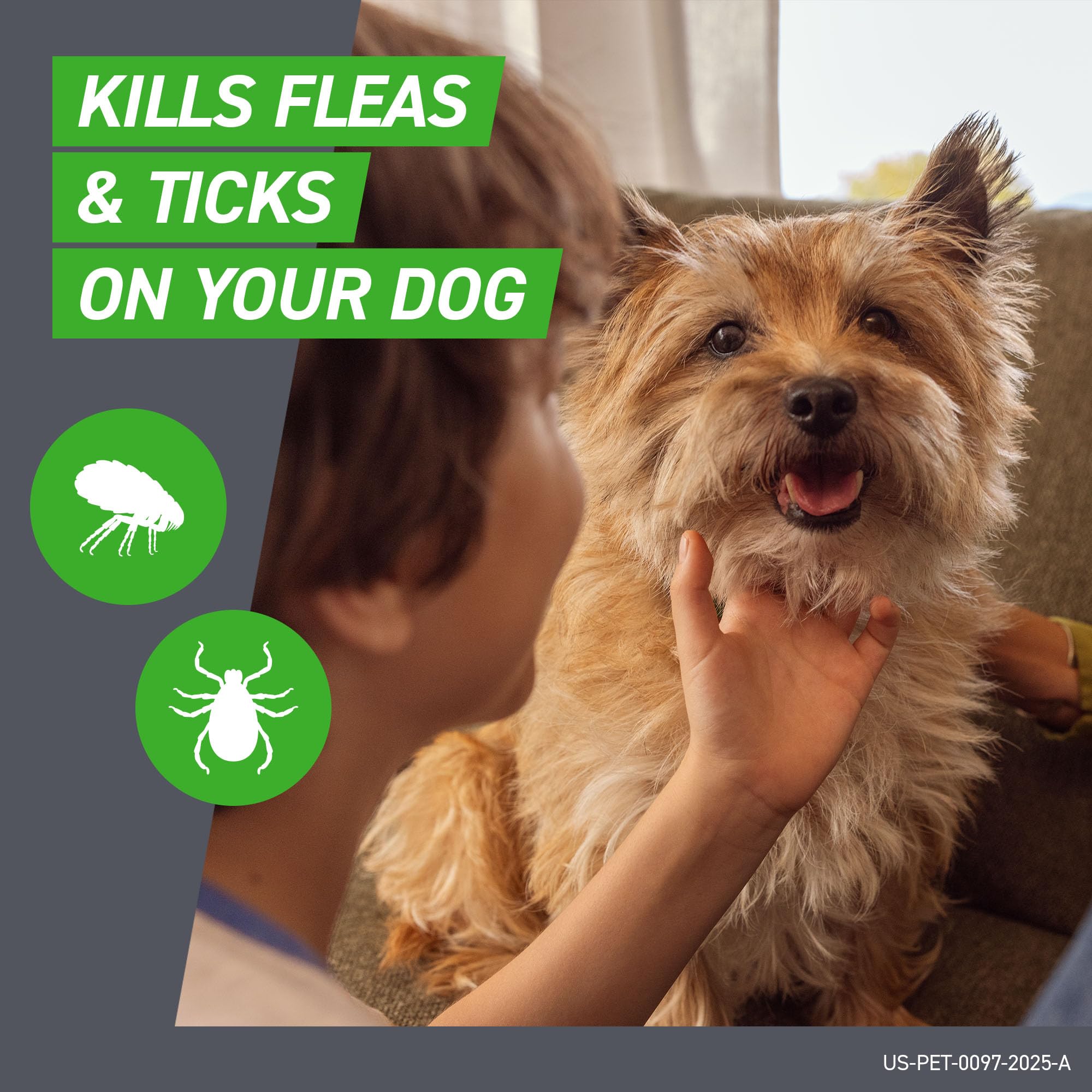 Application d'une dose unique de FRONTLINE Plus sur le chien.